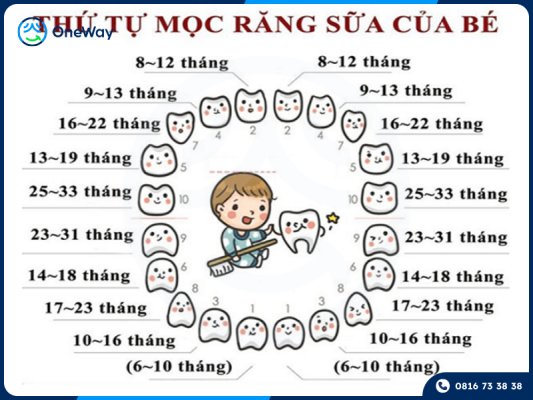 thứ tự mọc răng sữa